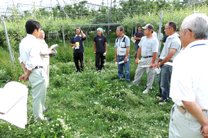 元気な農業を目指して